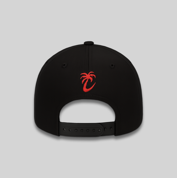 PRIVATE EYES SNAPBACK